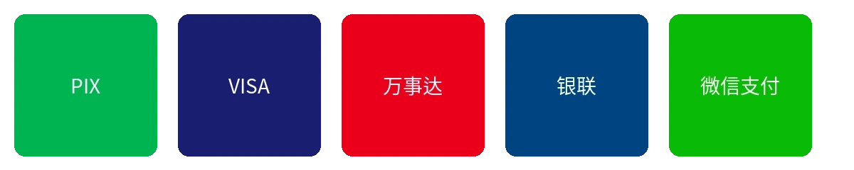 伦理片支持的支付方式图标展示